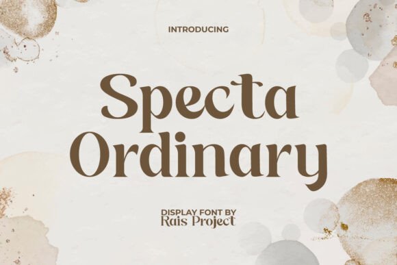 Specta Ordinary Font for Web Design Projects
